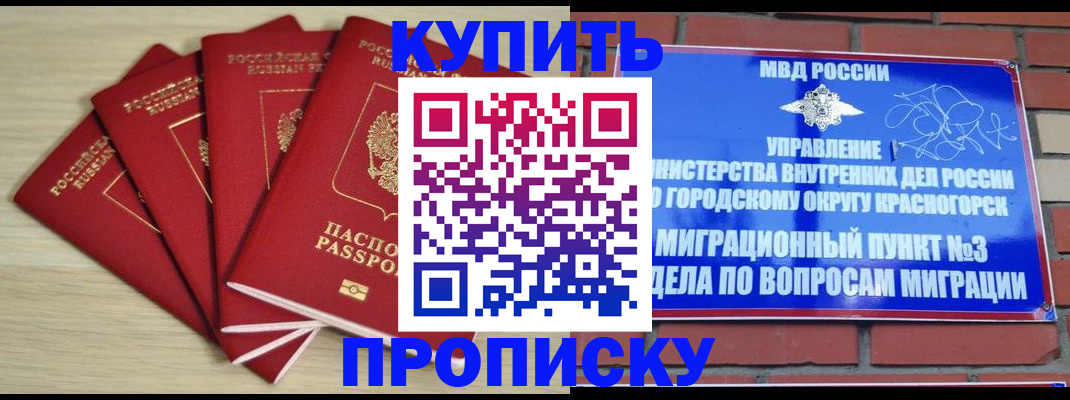 временная регистрация для всех в Камчатском крае